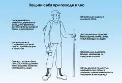 Hogyan, hogy leverjék a kullancs Hogyan, hogy leverjék a kullancs