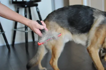 Furminators kutya, mi ez Furminators kutya, mi ez