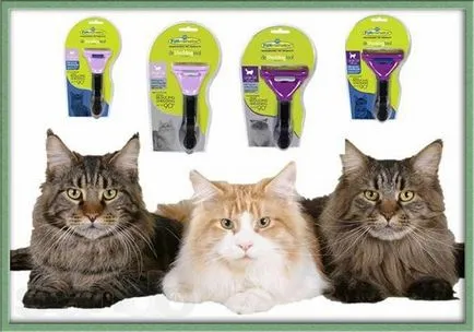 Furminators kutya, mi ez Furminators kutya, mi ez