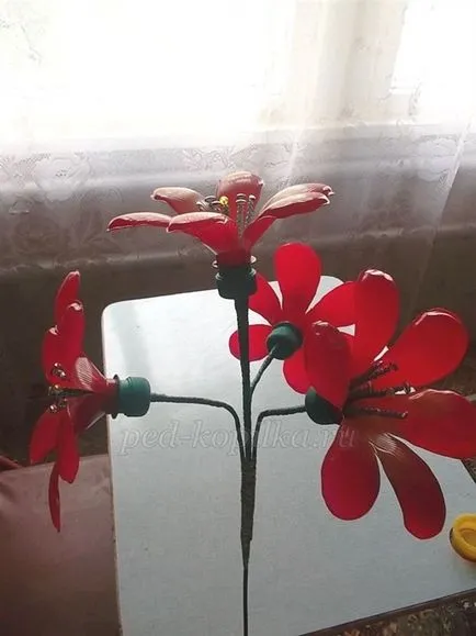 Mivel a műanyag palackok, hogy virág