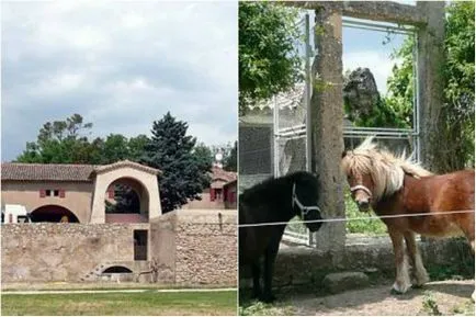 Házak, mint a csillagok