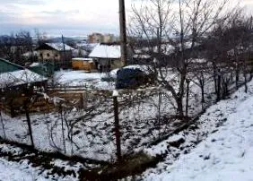által kóbor
