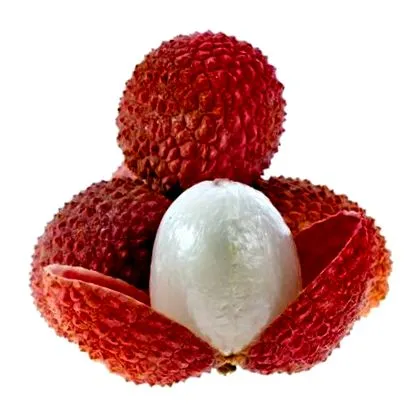fruit lychee