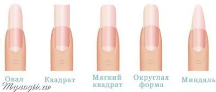Forma köröm design