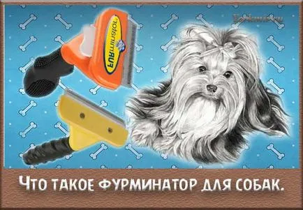Furminators kutya, mi ez