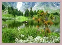 Hogyan megy az Altaj Hogyan megy az Altaj
