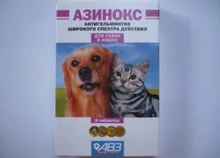 Féreg fertőzés kutyáknál