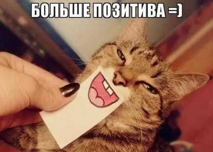 Minták puha játék cat Minták puha játék cat