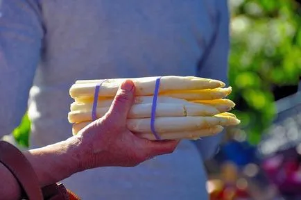 Asparagus, amelyből készítik