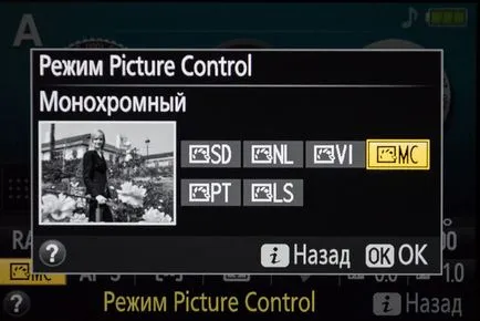 Hogyan kell lőni az étteremben