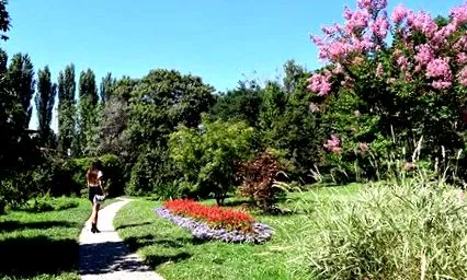 tennivaló