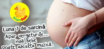 mesiaci