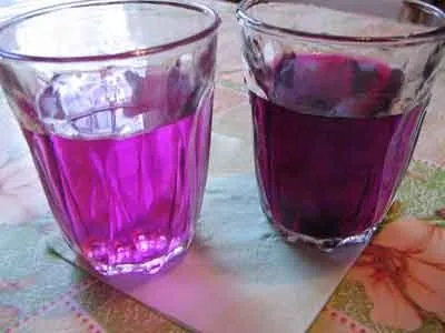 Hogyan mossuk át a penész egy kocsira Hogyan mossuk át a penész egy kocsira