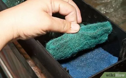 Milyen gyakran tisztítsa meg az akvárium