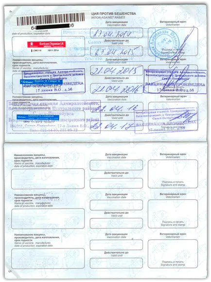 Mi hordozza a macska Mi hordozza a macska