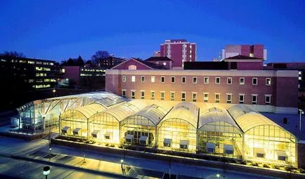 Hogyan lehet ellenőrizni a horgony Hogyan lehet ellenőrizni a horgony