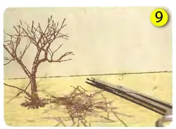 Crafts hogyan fák