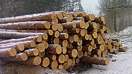 Hogyan építsünk egy faházban szauna Hogyan építsünk egy faházban szauna