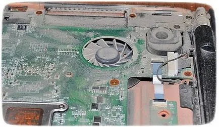 Mint egy öntisztító a portól laptop Mint egy öntisztító a portól laptop