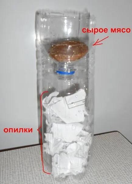 Tenyésztési kukacok otthon