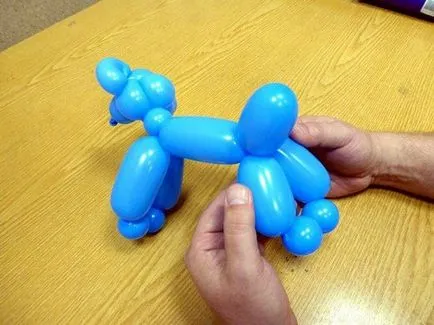 Hogyan készítsünk egy labdát a kutya