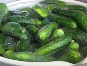 Hogyan kell tartani a friss uborka Hogyan kell tartani a friss uborka