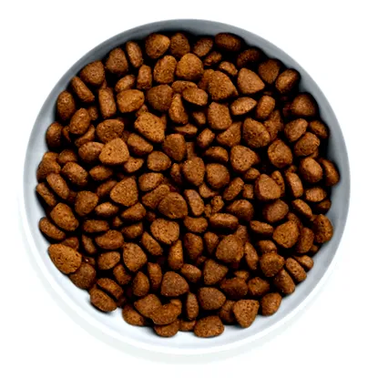 Canagan felnőtt