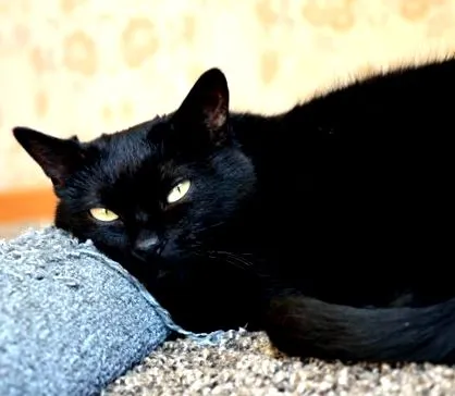 miért