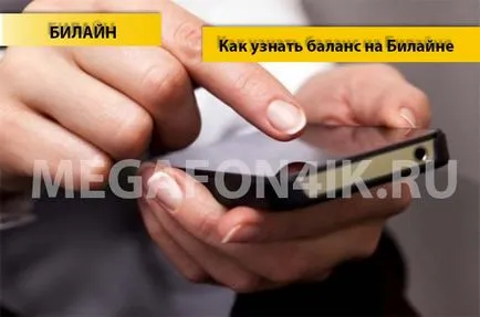 Hogyan kell találnia az egyensúlyt a Beeline