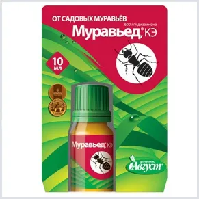 Ahogy a kertben, hogy megszabaduljon a hangyák Ahogy a kertben, hogy megszabaduljon a hangyák