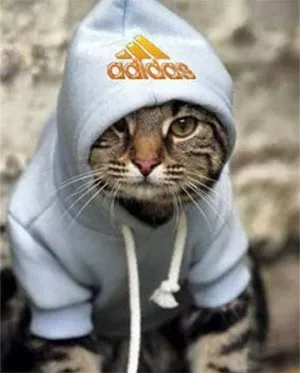 Mi az avatar vkontakte