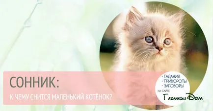 Kitten a kezében, amit