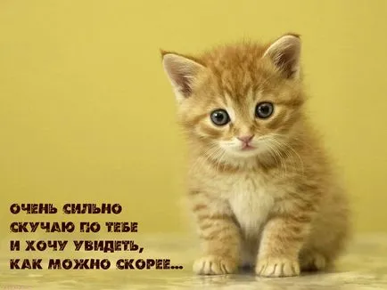 Ahogy arra vár, képek Ahogy arra vár, képek