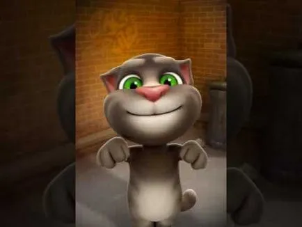 Cat mancsok magát