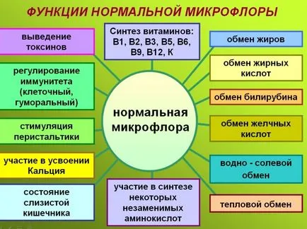Készítmények kezelésére bél dysbiosist Készítmények kezelésére bél dysbiosist