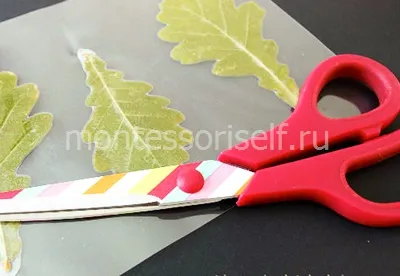 Hogyan működik a fa