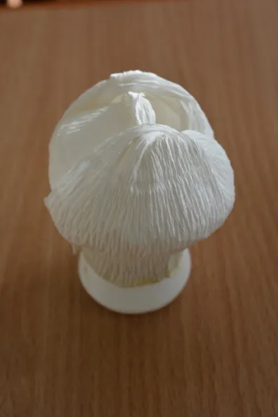 Káposzta saját kezűleg
