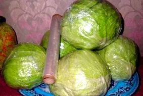 népszerű