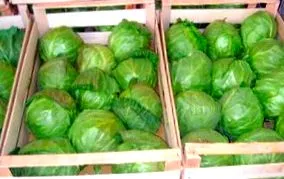 módszerek