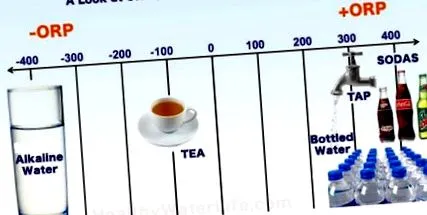 bárcsak megtanulhatnék