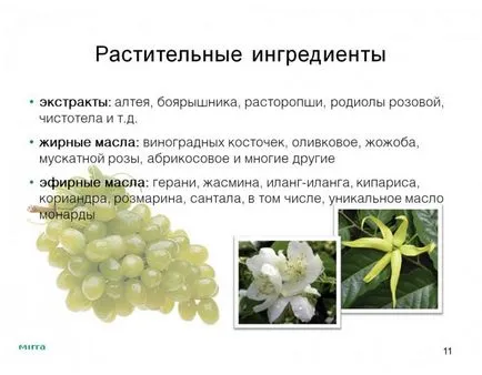 Mirra Lyuks kozmetikumok Mirra Lyuks kozmetikumok
