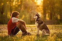 Védőoltások kutyáknak, amelyeknek