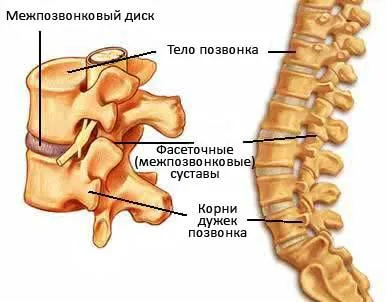 Mik a jelei osteochondrosis