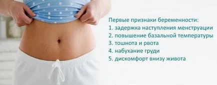 Hogyan állapítható meg a terhesség korai szakaszában Hogyan állapítható meg a terhesség korai szakaszában