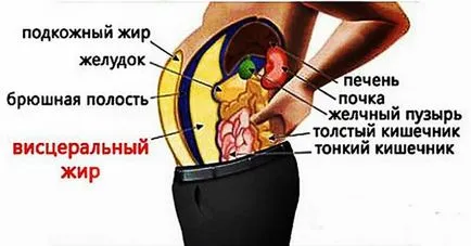Mivel a hasa növekszik