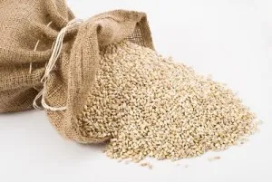 Mi hasznos Perlovka Mi hasznos Perlovka