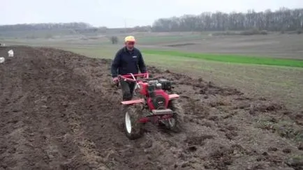 Hogyan ültetni a burgonyát motor blokk