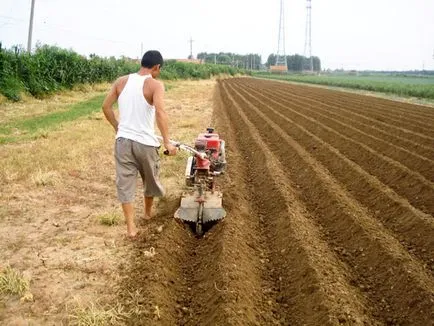 Hogyan ültetni a burgonyát motor blokk Hogyan ültetni a burgonyát motor blokk