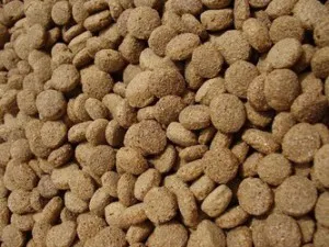 Mint allergia kezelésére kutyáknál