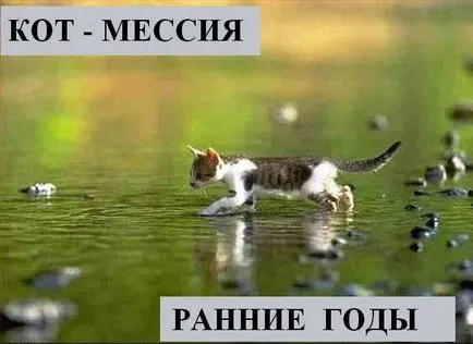 Macskák Macskák feliratok Macskák Macskák feliratok